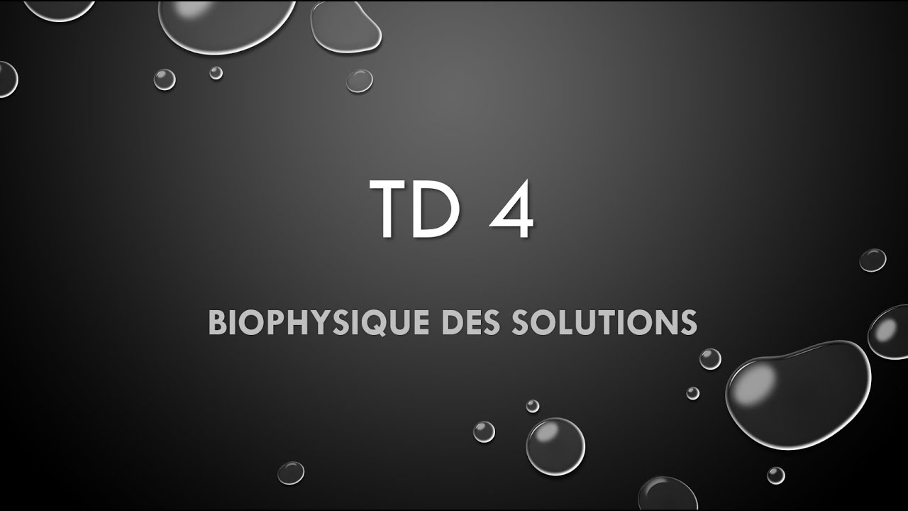 TD 4 P 2