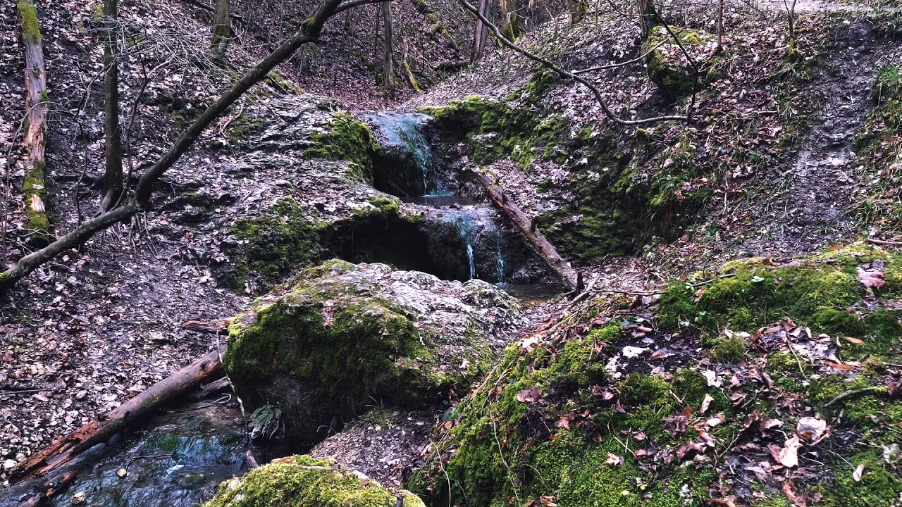 Dolina Bolechowicka / Kobylańska [4K]