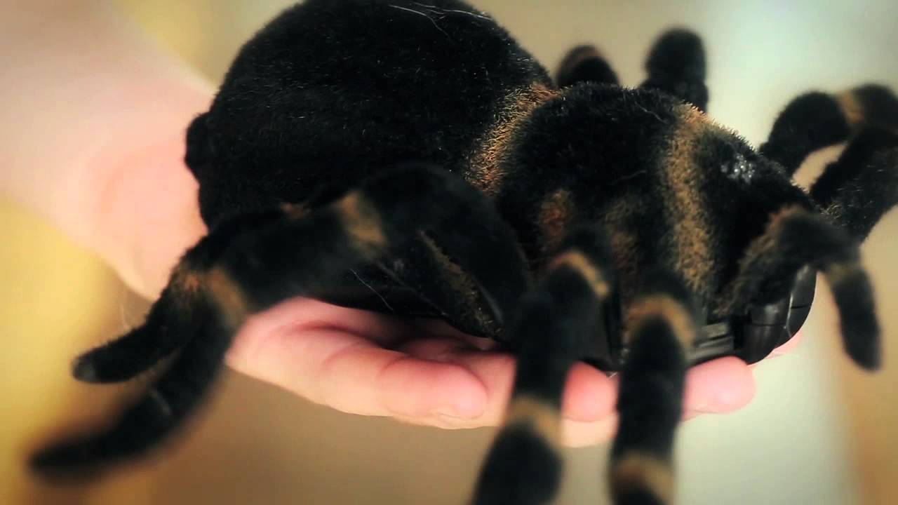 RC Spider Attacks and Shoots!