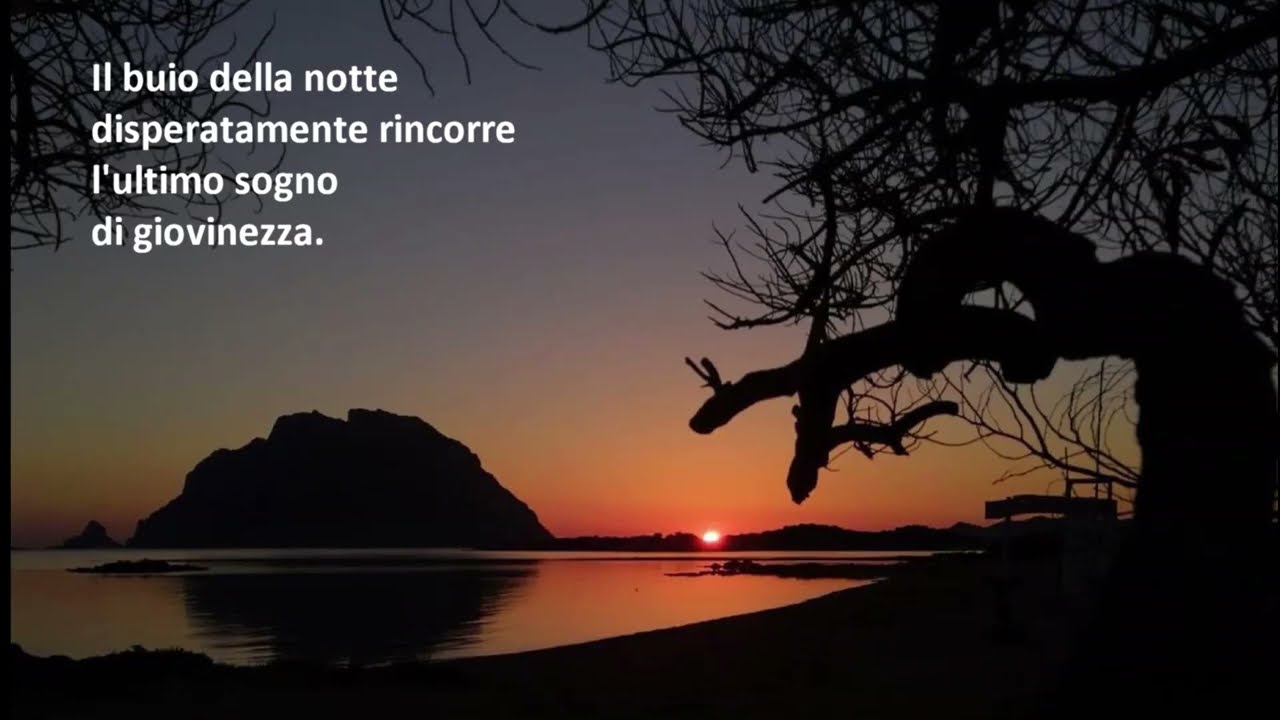 Amarsi ancora Bubo Sapiens