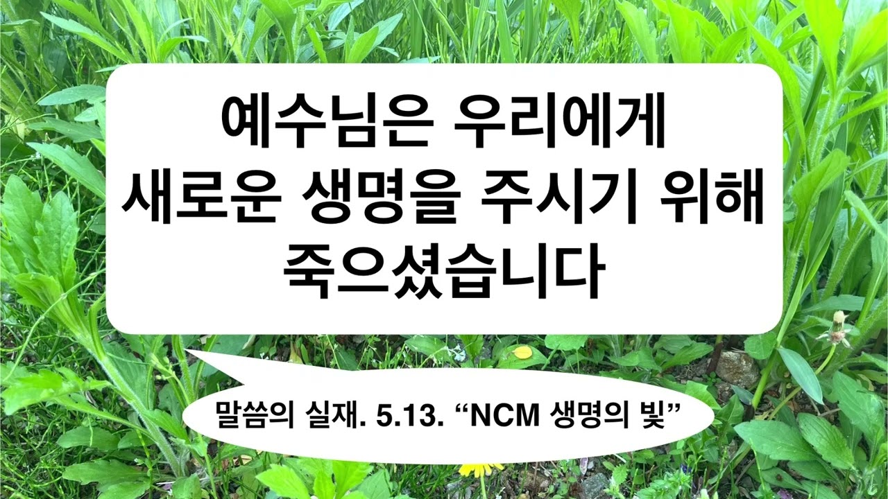 2025.5.13.【예수님은 우리에게 새로운 생명을 주시기 위해 죽으셨습니다】말씀의 실재