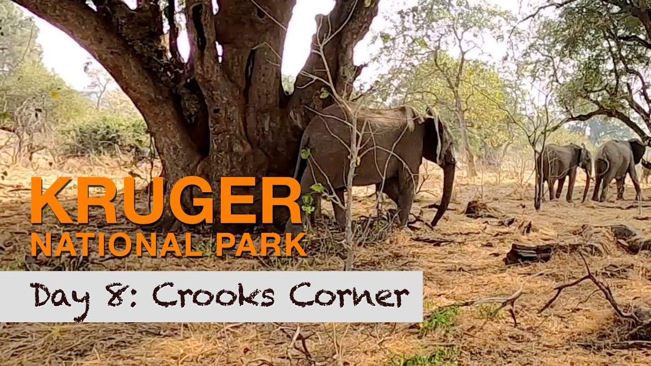 Kruger Park, from South to North in 8 Days, I finally reach Crook's Corner | Season 2, Day 8