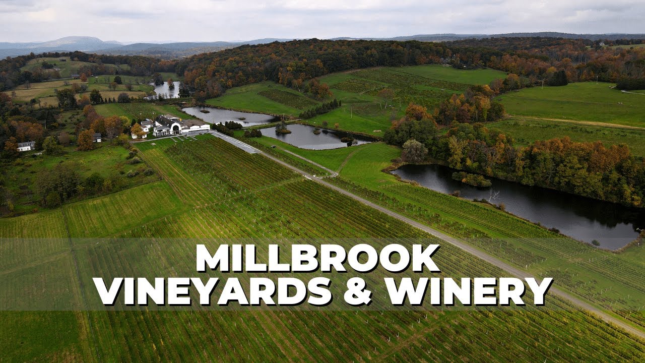 Millbrook Vineyards & Winery | Best Winery in Hudson Valley | New York Local Wines | Places to Visit