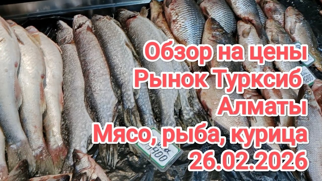 Рынок ТУРКСИБ. Обзор цен на мясо, рыбу, курицу и остальное. Цены на 26.02.2026