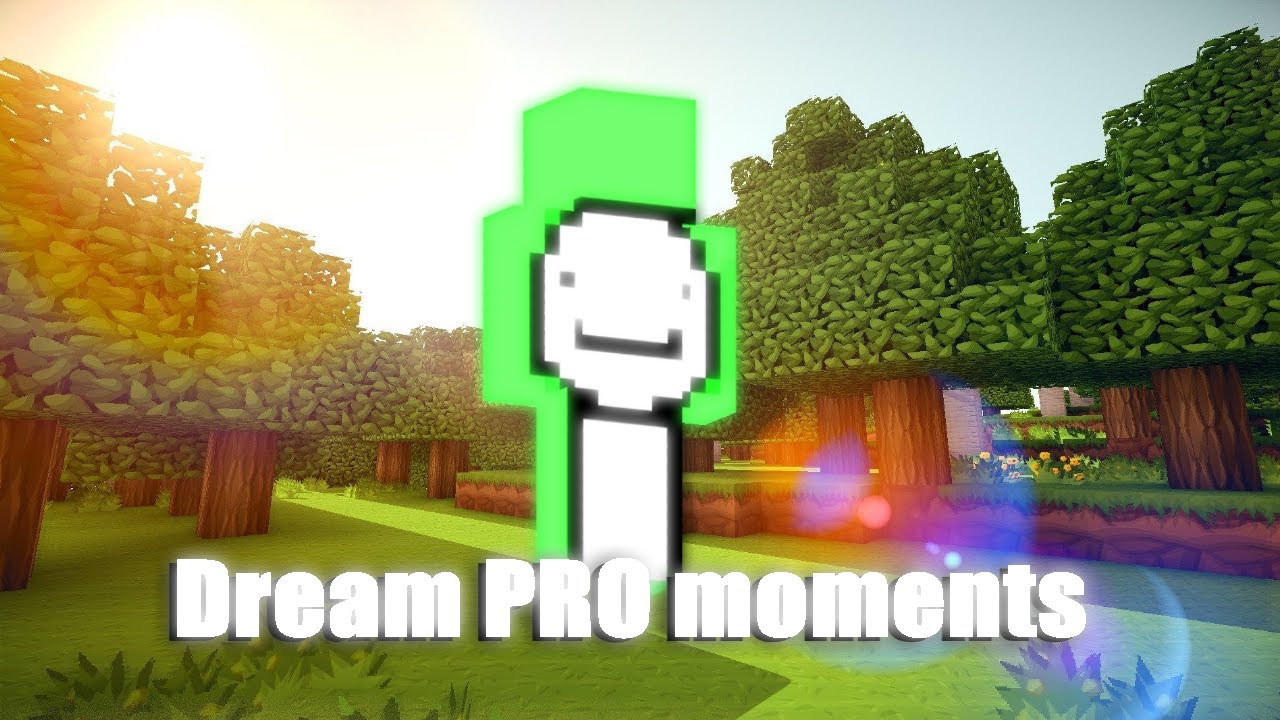 Minecaft, but it's Dream's best moments (200 iq)...