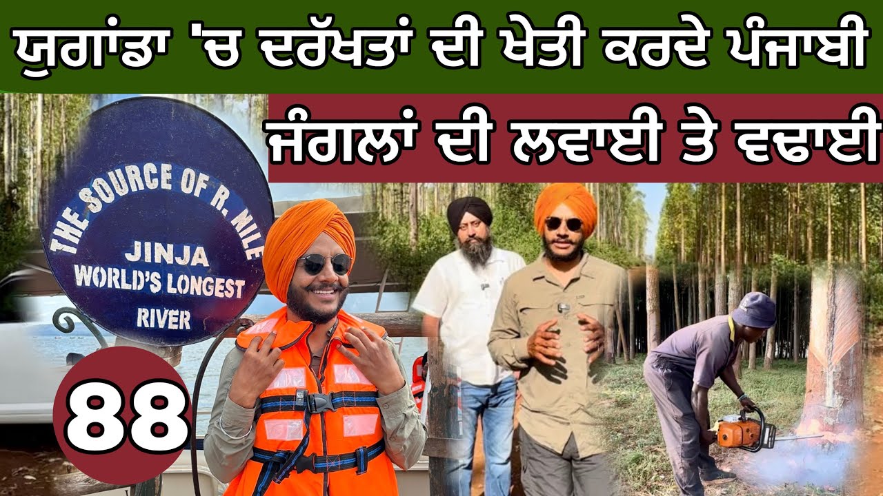 Tree Farming in UGANDA । ਯੁਗਾਂਡਾ ‘ਚ ਦਰੱਖਤਾਂ ਦੀ ਖੇਤੀ ਕਰਦੇ ਪੰਜਾਬੀ। Boating in Nile river