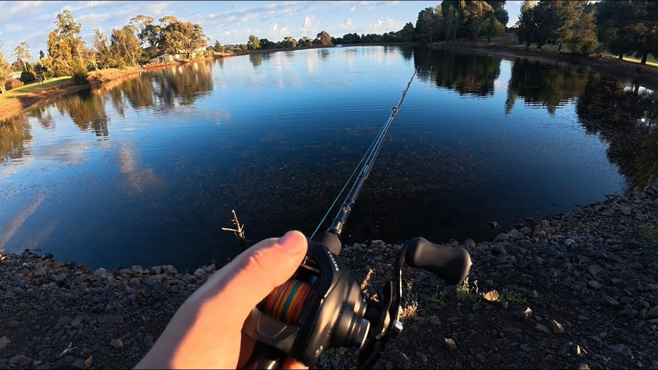 Surface fishing for Murray Cod | Murray Cod Fishing 
