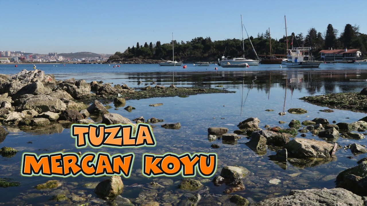 Tuzla Mercan Sahili İstanbul TÜRKİYE , #droneçekimi
