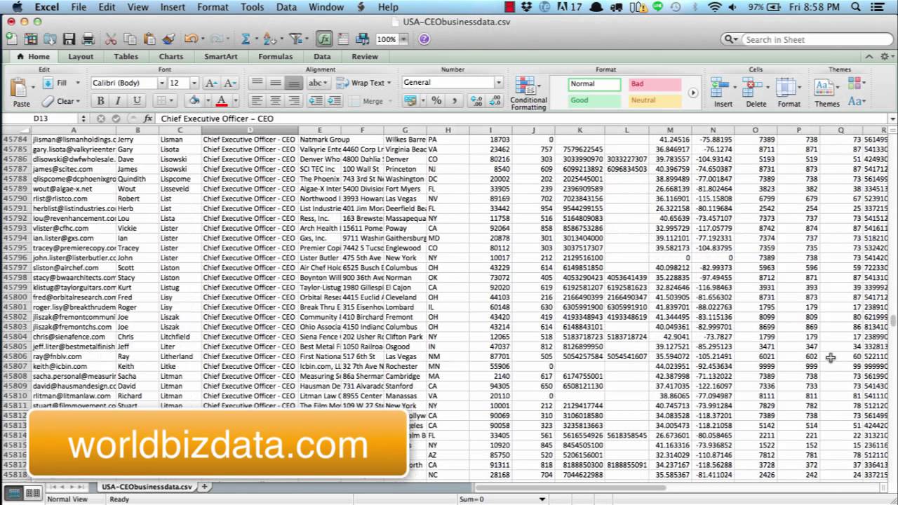 USA CEO Business Database