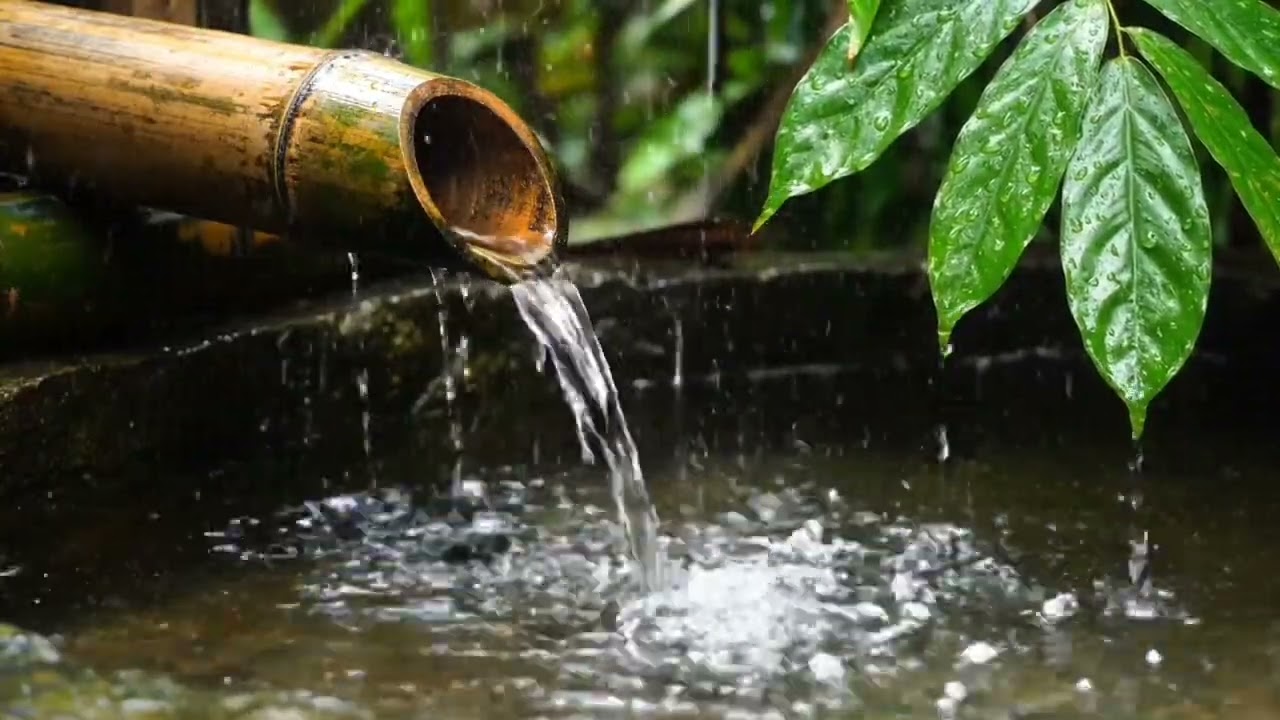 Relaxing Rainforest Rain & Bamboo Water – 1 Hour Sleep Sounds