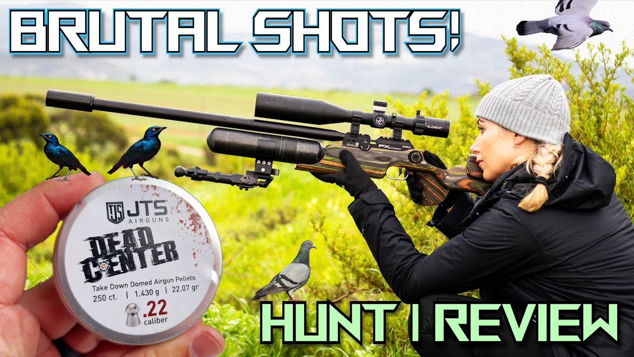 Dead Center! with JTS Pellets (NEW!) | Pellet Review & Hunt | FX Crown MKII #viral