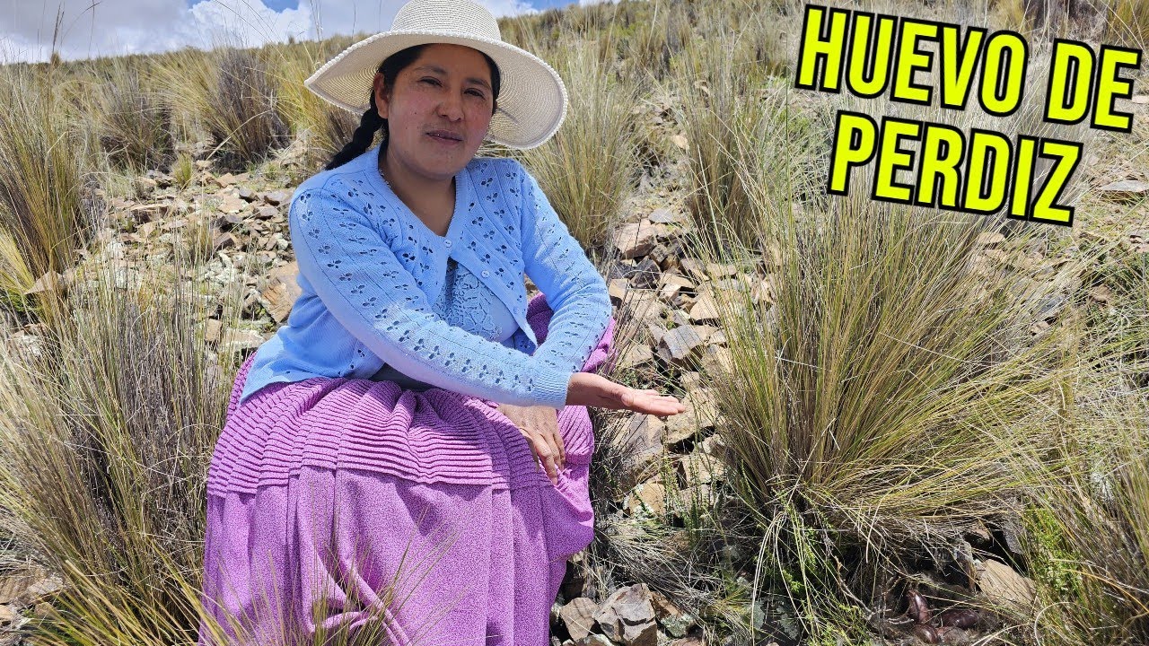 Huevos de perdiz