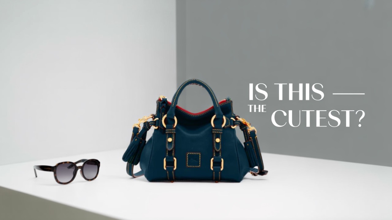 Dooney & Bourke Nano Satchel | Real Review Before You Buy