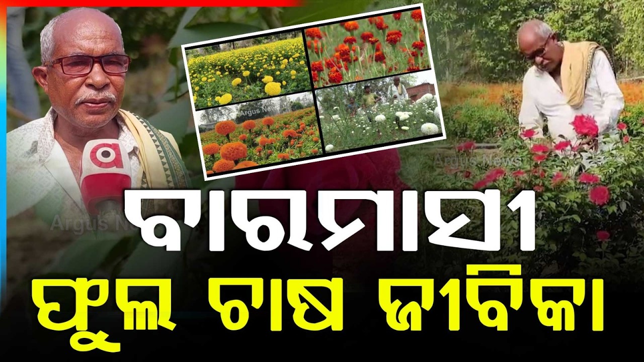 ବାରମାସୀ ଫୁଲ ଚାଷ ଜୀବିକା | GoodNews | From Flower Sellers to Farmers | Success Story | Argus News