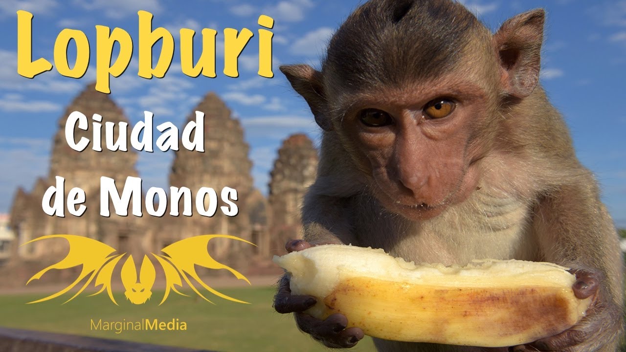 Lopburi, La Ciudad de Monos
