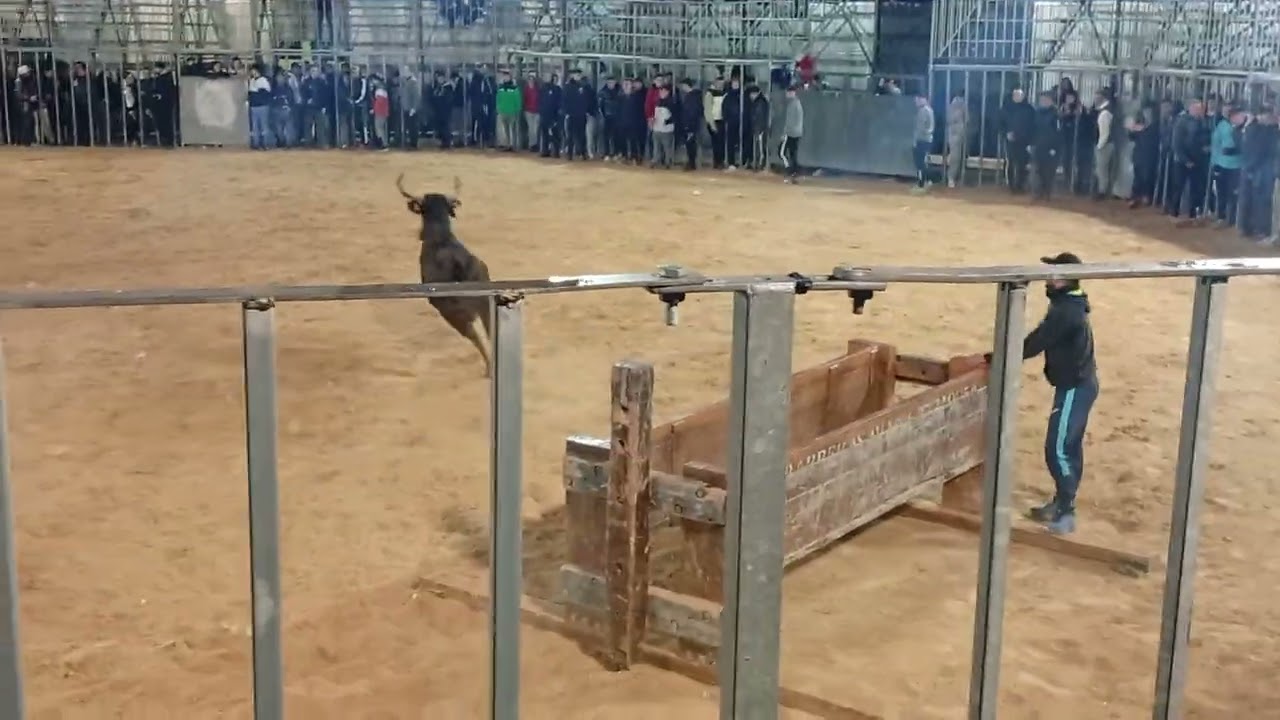 Buen recorte de Sarrion de puçol