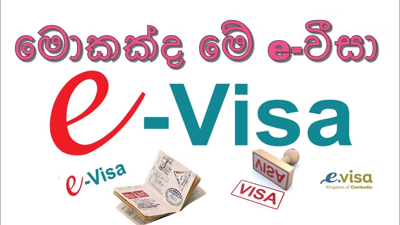 What Is e-Visa in Sinhala | TRAVEL WITH ME