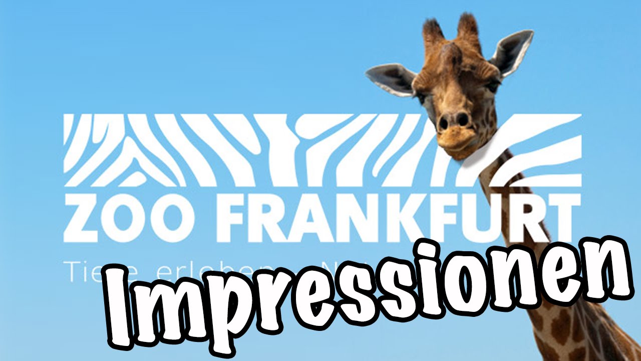 Zoo Frankfurt | Impressionen