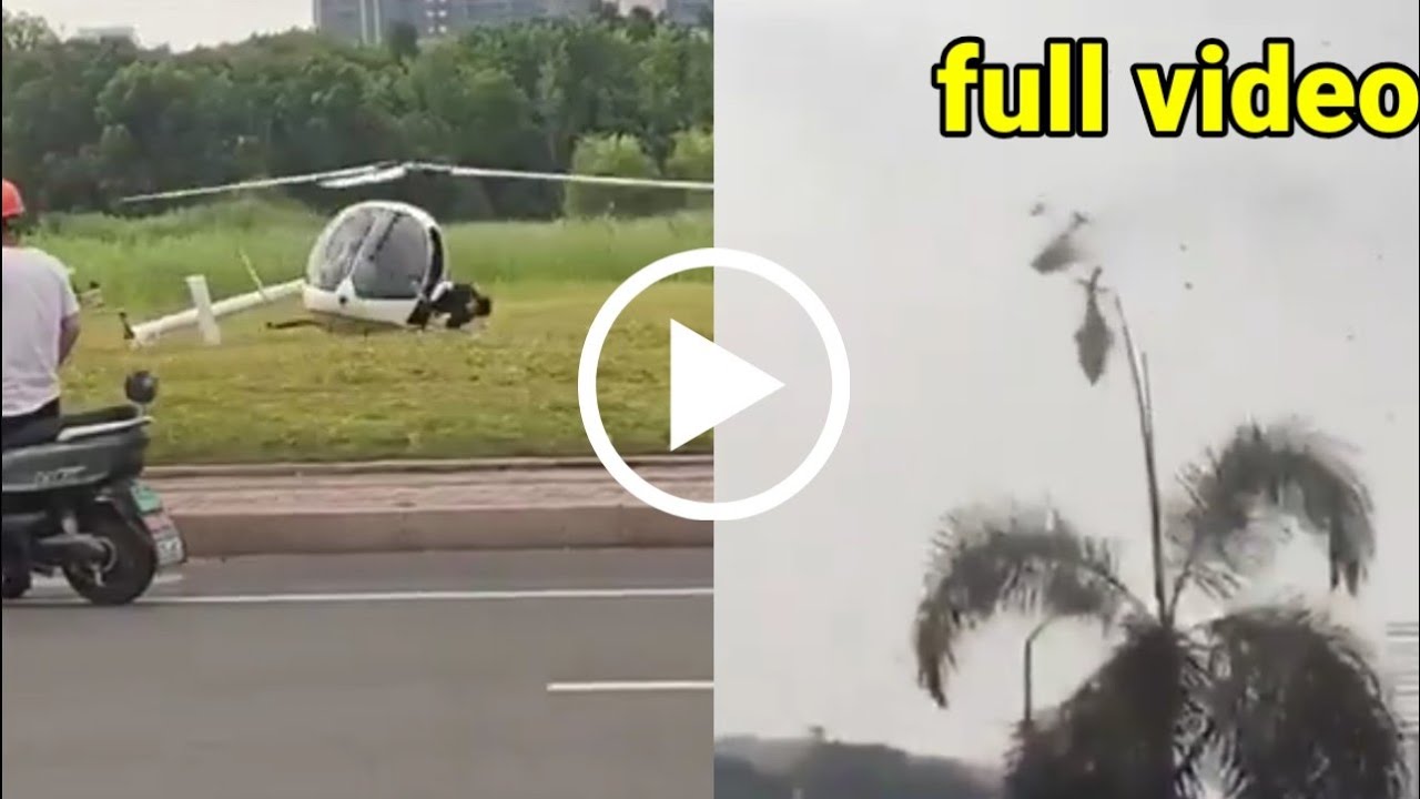 Gaspi and Oliver Tree Killed in Brazil Helicopter Accident | Gaspar Prim D&iacute;az accident 