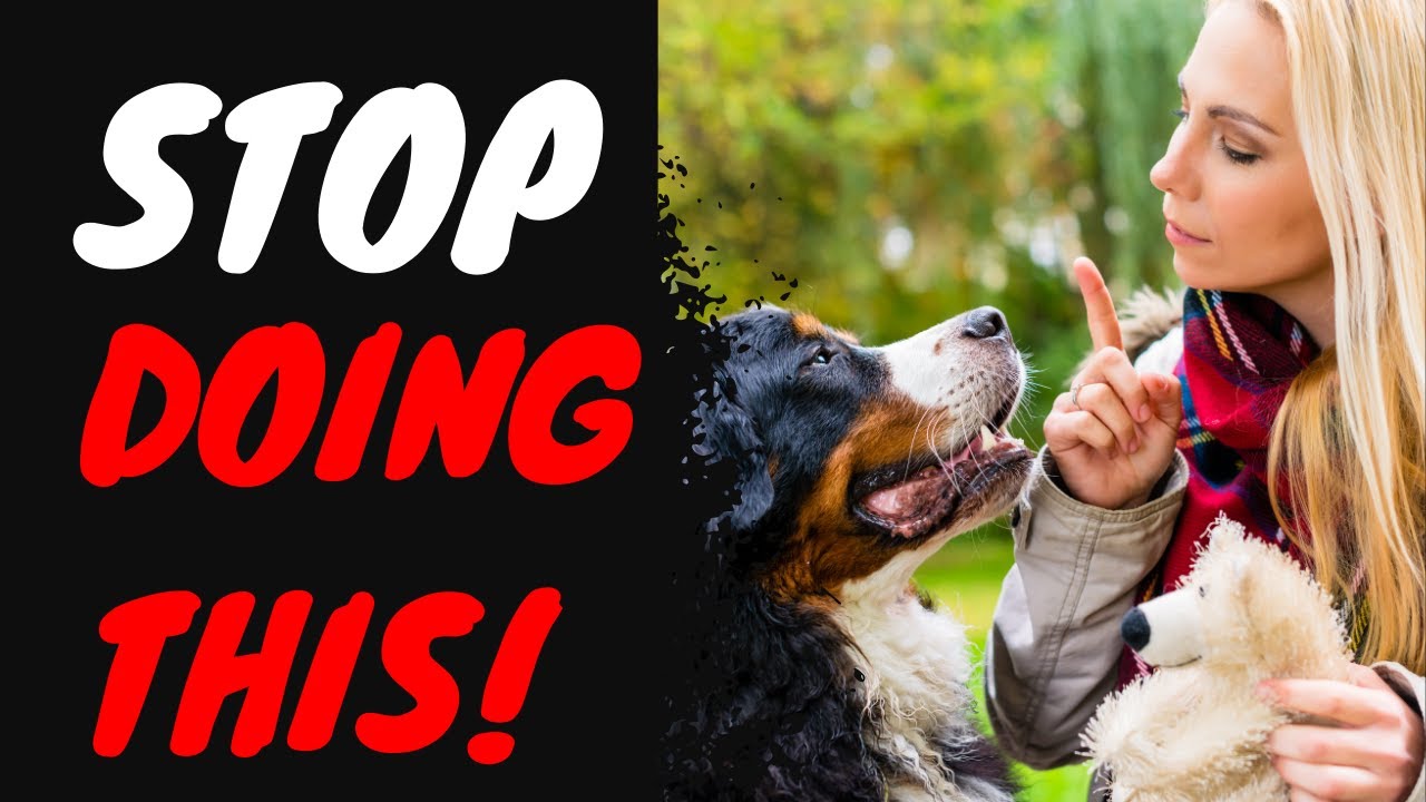 20 Shocking Ways You're Harming Your Dog Without Knowing It