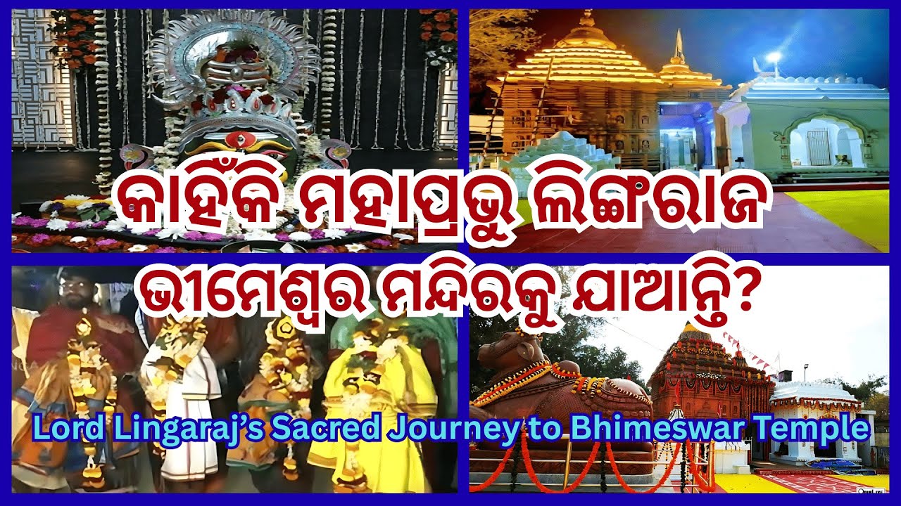 Lord Lingaraj’s Journey to Bhimeswar Temple| ଲିଙ୍ଗରାଜ ଓ ଭୀମେଶ୍ୱରଙ୍କ ସାକ୍ଷାତ | #viral #trending