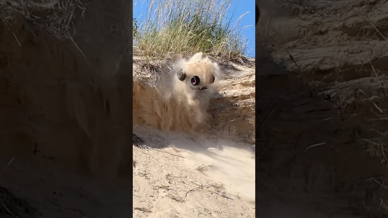 Arrma Quake gets rowdy at the Silver Lake Sand Dunes 