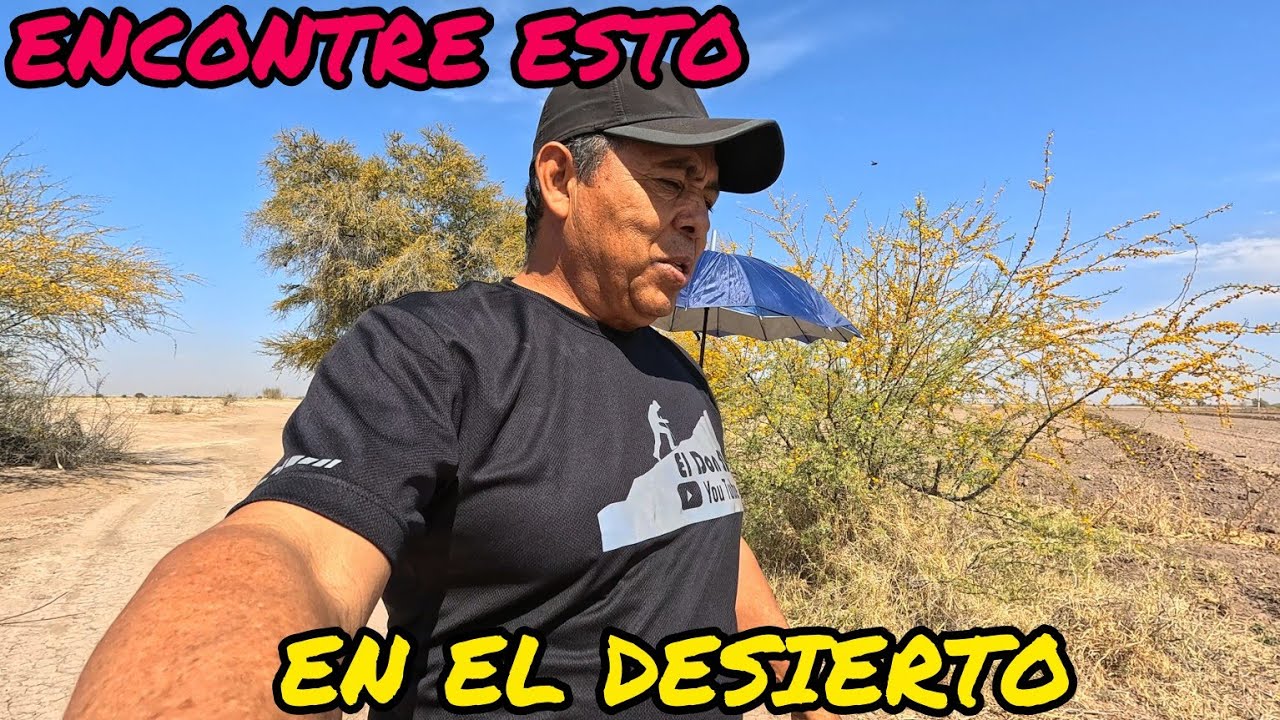 UNA GRANJA DE POLLOS EN MEDIO DEL DESIERTO DE DURANGO 