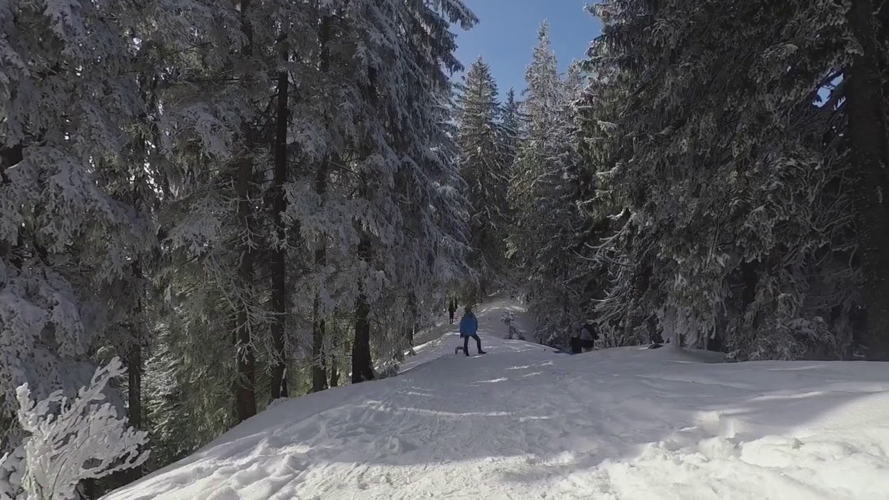 Wallberg Rodelbahn 2018 GoPro Hero 5 Black + Karma
