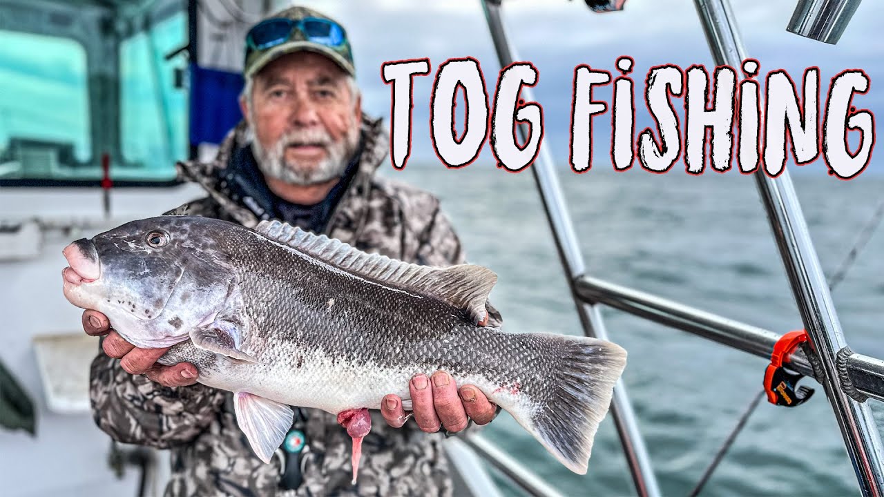 Wise Kraken Charters Tautog Fishing Block Island RI