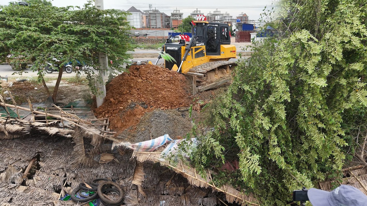 Great Job! Unstoppable Powerful SHANTUI Dozer Push Soil Mix Stones With Team 25t Dump Truck Dumping