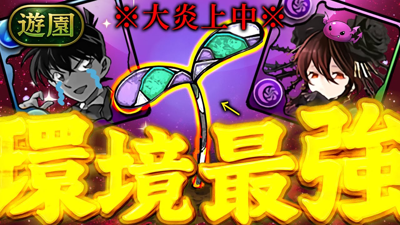 【絶賛炎上中】炎上から生まれた環境最強......ロゼッタ世界最強編成の組み方！(常闇風)【パズドラ】