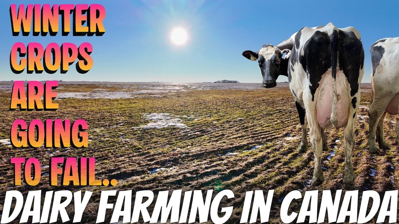 All The Snow Is Melting Already! 😳