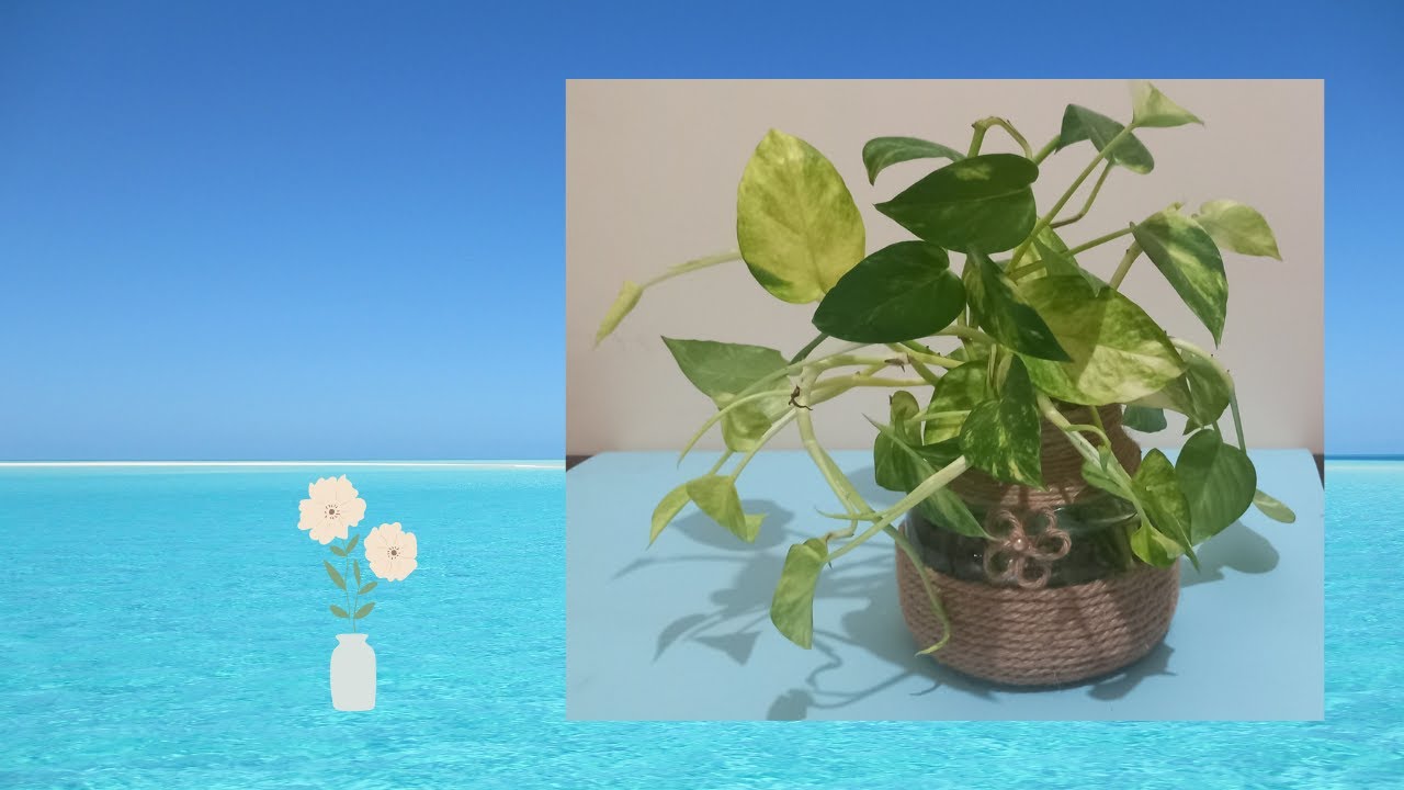 Making a unique vase:make this unique vase in 10 minutes using available materials