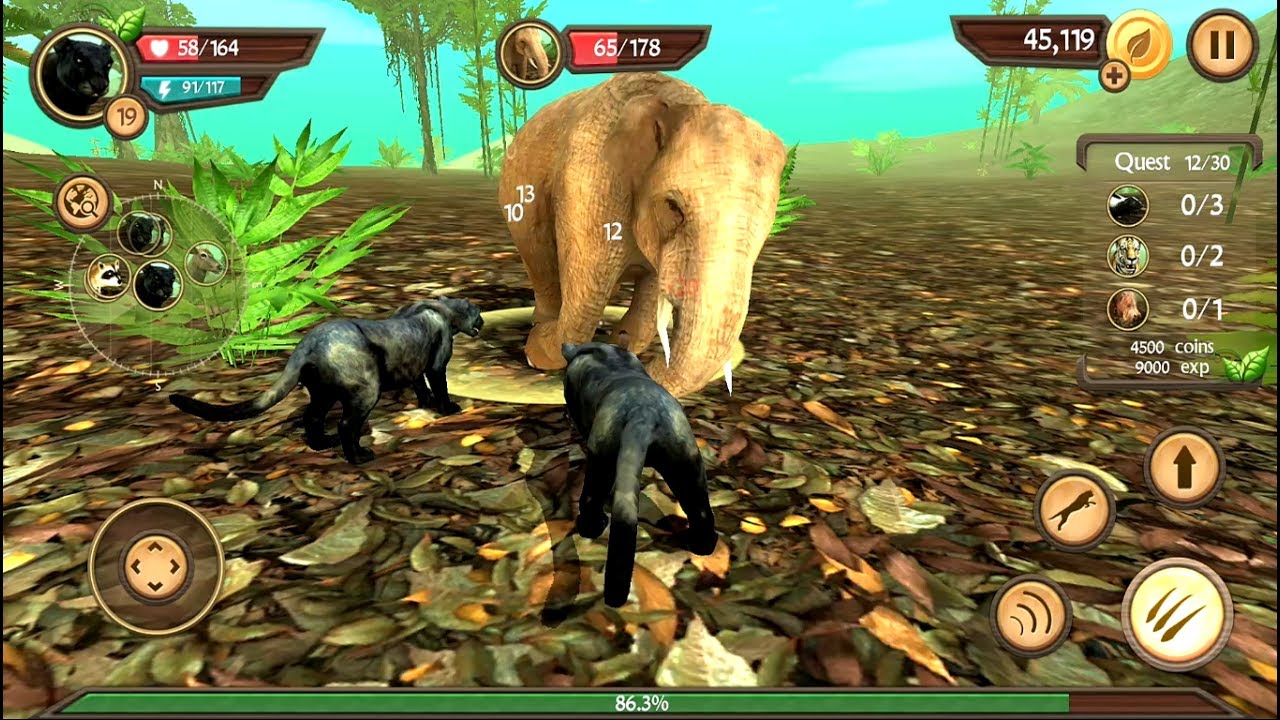 Wild Panther Sim 3D Android Gameplay HD #2