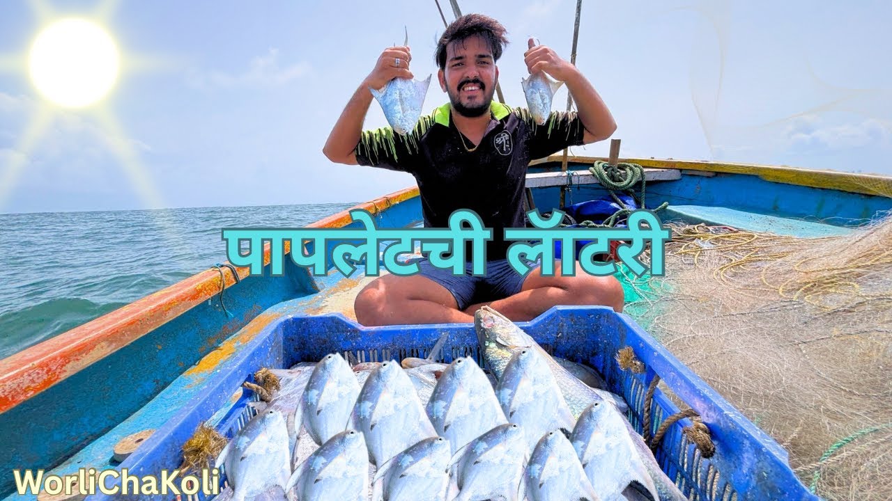 आपल्याला season ￼सुरुवातीला भेटली पापलेटची लॅाटरी, pomfret Mumbai India fishing.