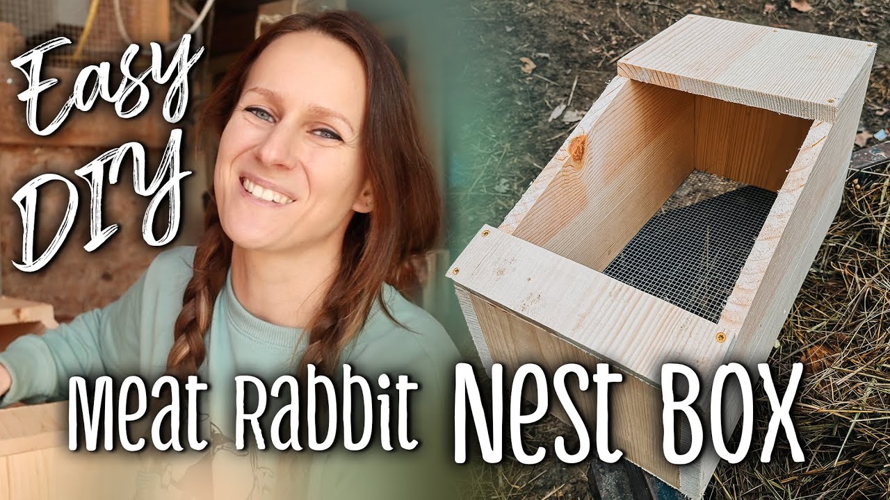Rabbit Nest Boxes - Easy DIY for meat rabbits + some tips!