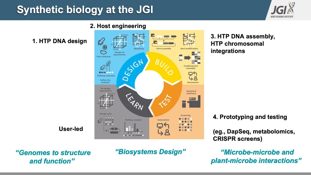 Webinar: DNA Synthesis and strain engineering for functional genomics and biodesign