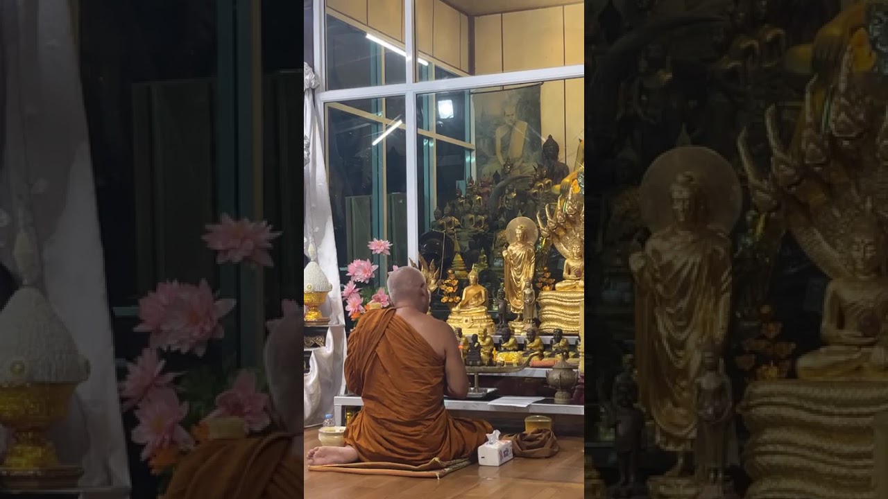 พระครูอดุลธรรมคุณ นำสวดมนต์และอบรมพระใหม่ ที่วัดสันติวนาราม 10-2-69 งานปิดทองผูกพัทธสีมา7กพ.-7มีค.69