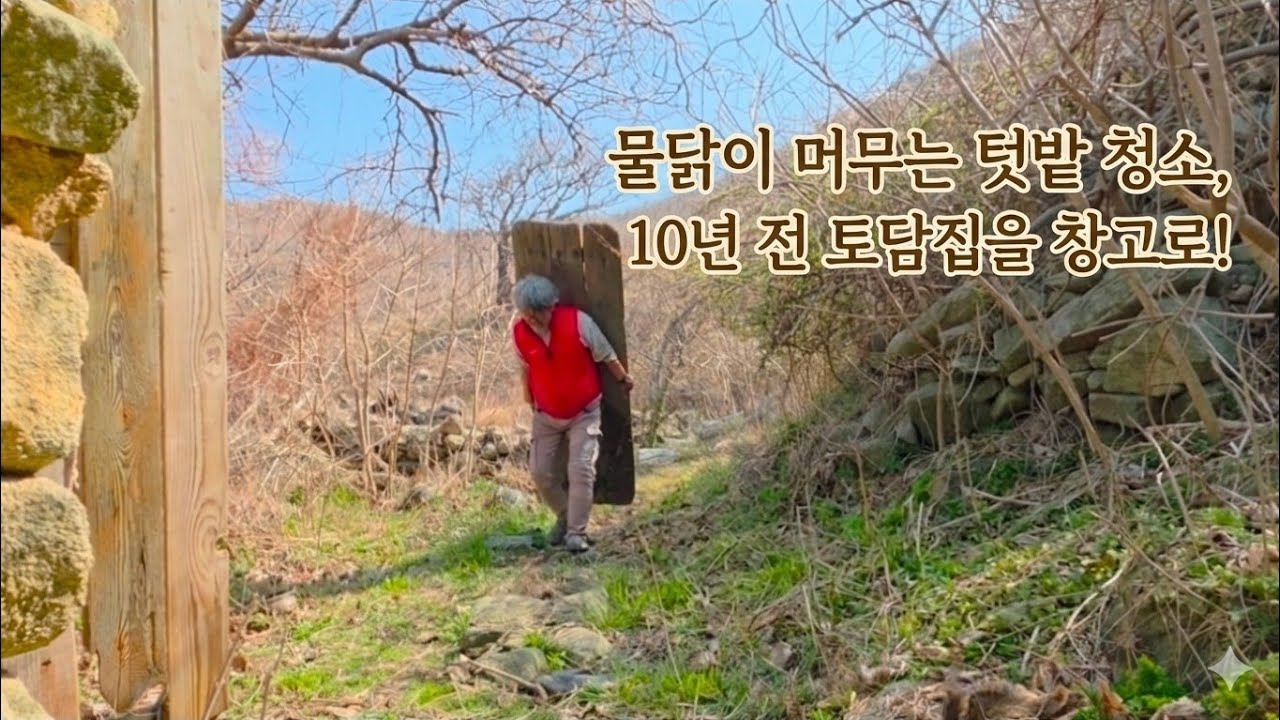 [펫플로킹] 텃밭 물닭과 진달래, 한 시간 만에 3자루 청소 완료! 10년 된 토담집 창고 변신