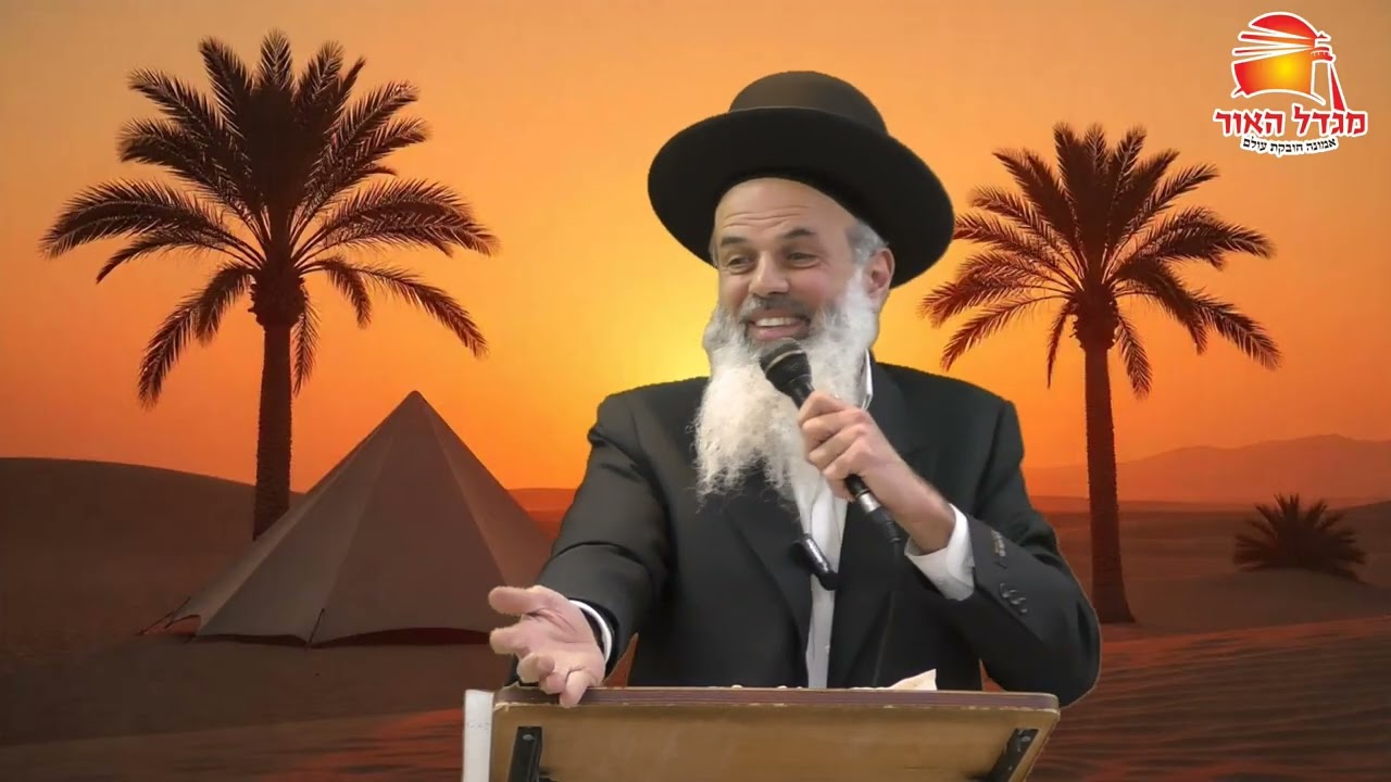 העקשן מפסיד - הרב עודד שרבי - בא תשפ''ו