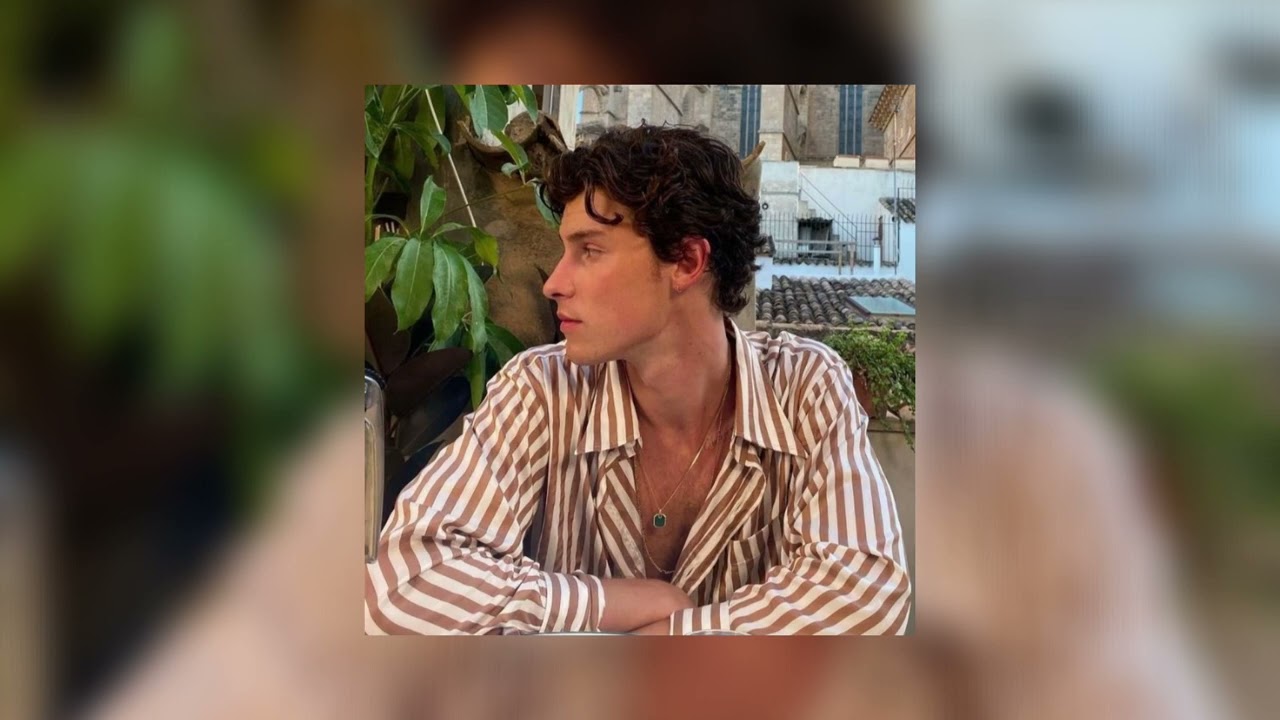 shawn mendes - when you’re gone sped up