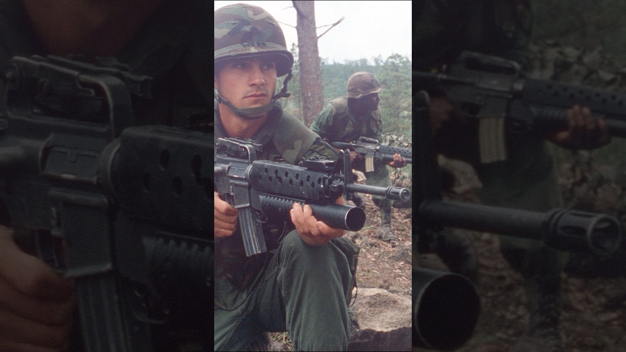 M203 Grenade Launcher - The American Weapons of the Vietnam War