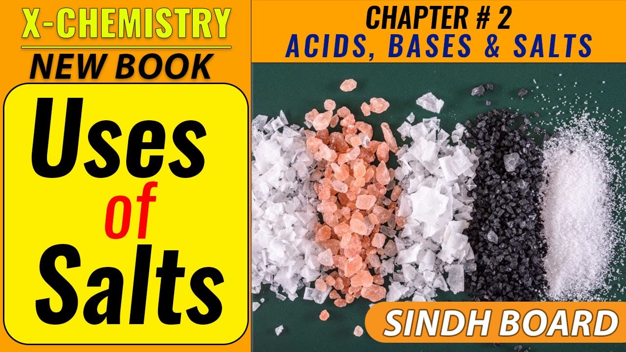 Uses of Salts || CH#2 || X - Chemistry || New Book