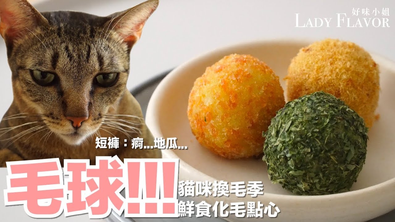 毛球！！！換毛季推薦！幫助化毛的鮮食點心【貓副食食譜】好味貓廚房EP92