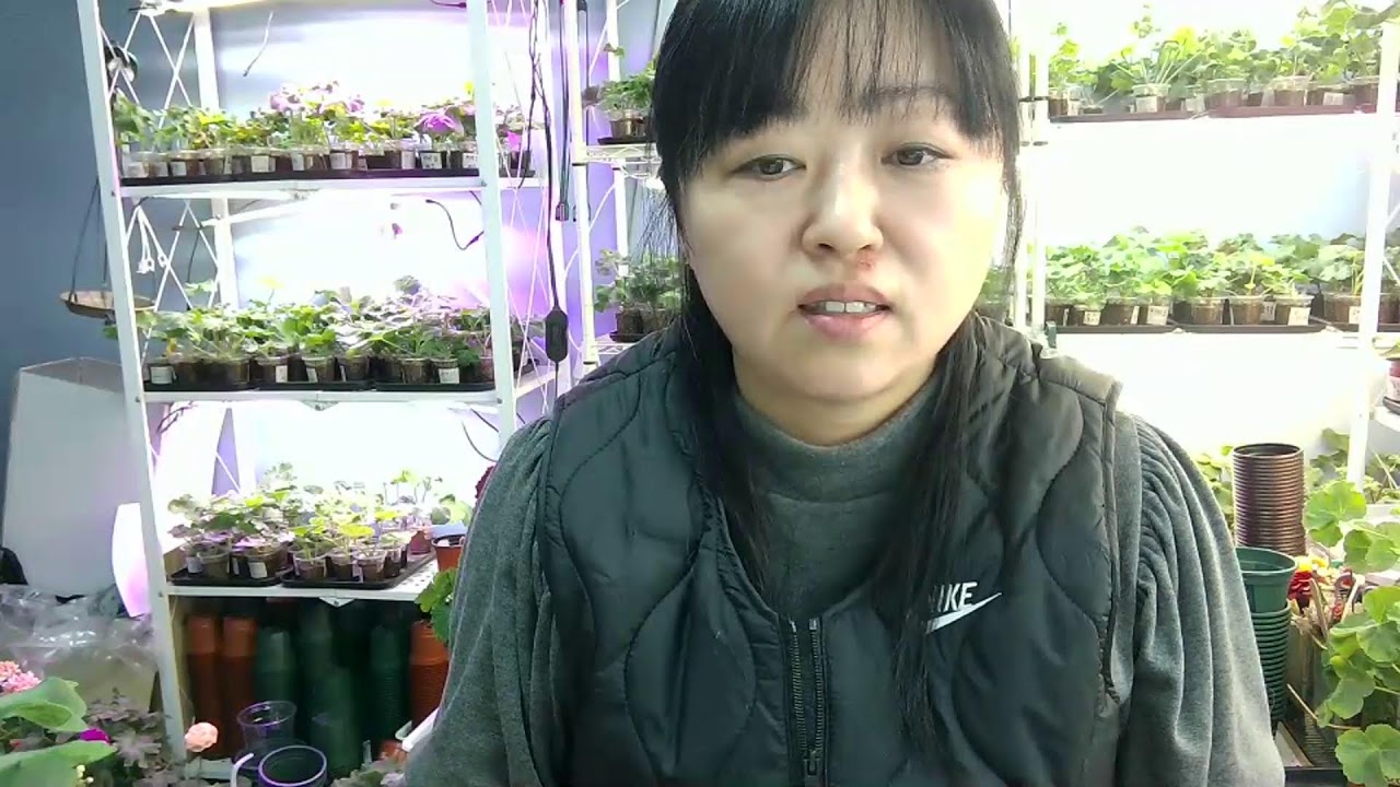 제라의꿈이 이제 왔어요