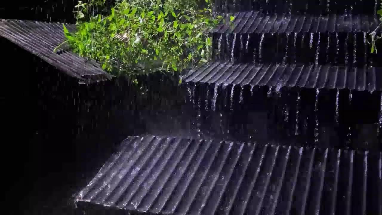 Soothing Rain on Tin Roof with Thunder | Sleep & Relaxation Sounds