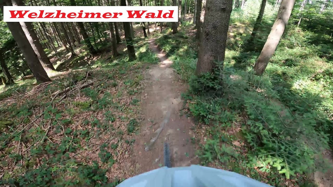 Wald und Wieslauf-Trail in Welzheim.