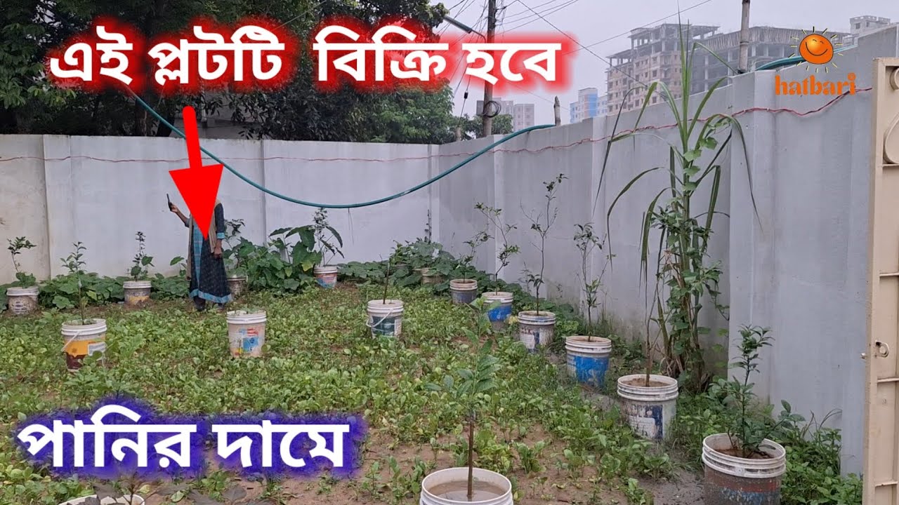 জমি বিক্রি হবে পানির দামে ঢাকায়। Land sell | Land sale | plot sale in Dhaka | jomi bikroy