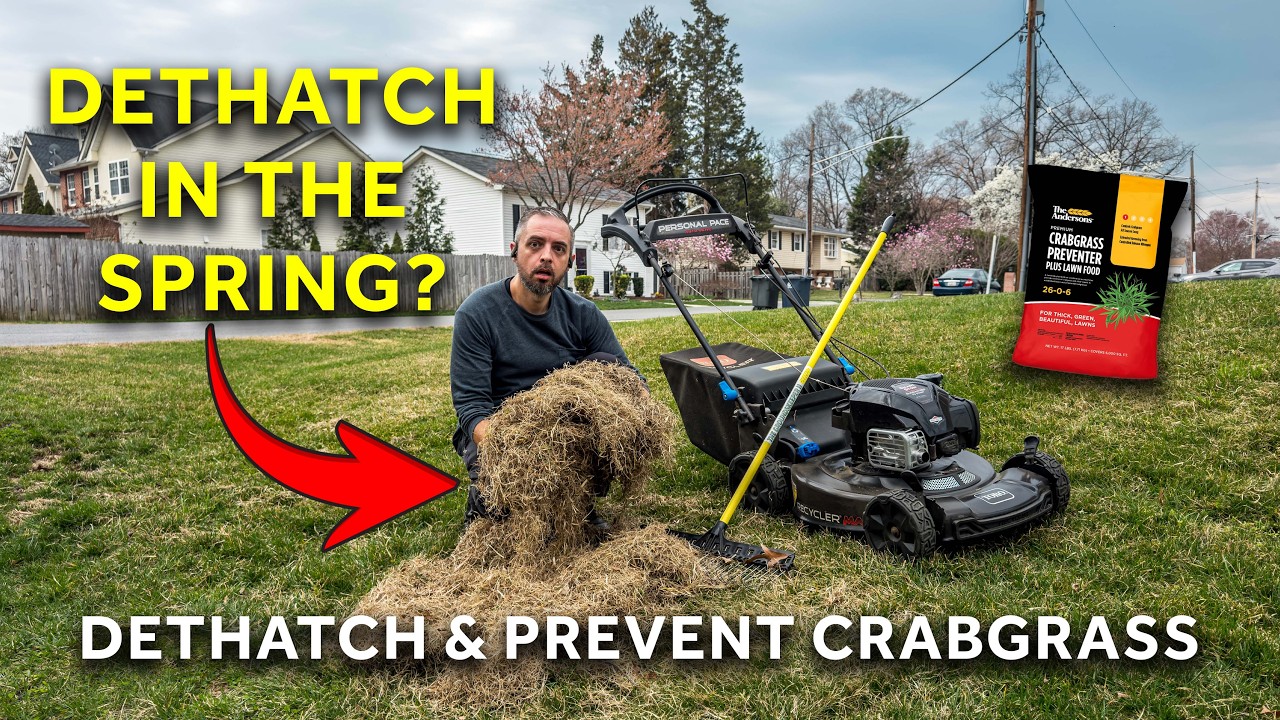 Jump Start Your Lawn This Spring | Dethatch | Prevent Crabgrass