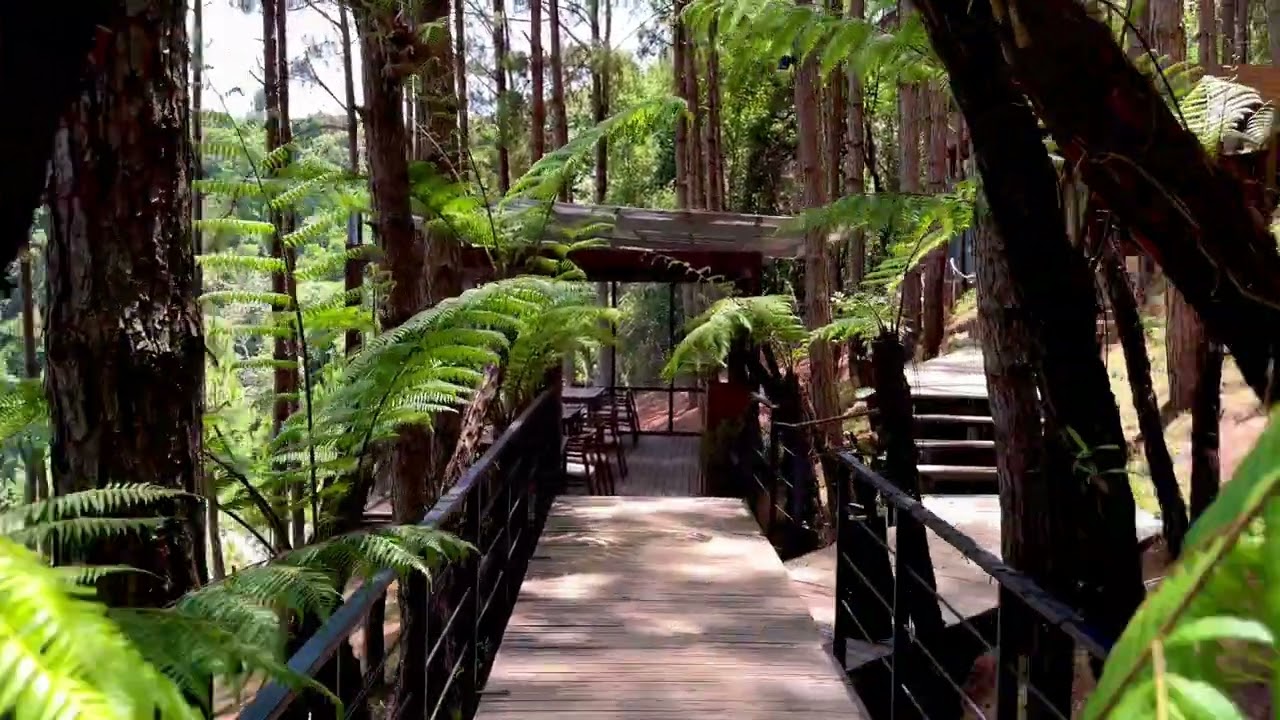 1  #大勒 #度假 #越南  #Dalat Mơ Stay - Forest Resort #vietnam